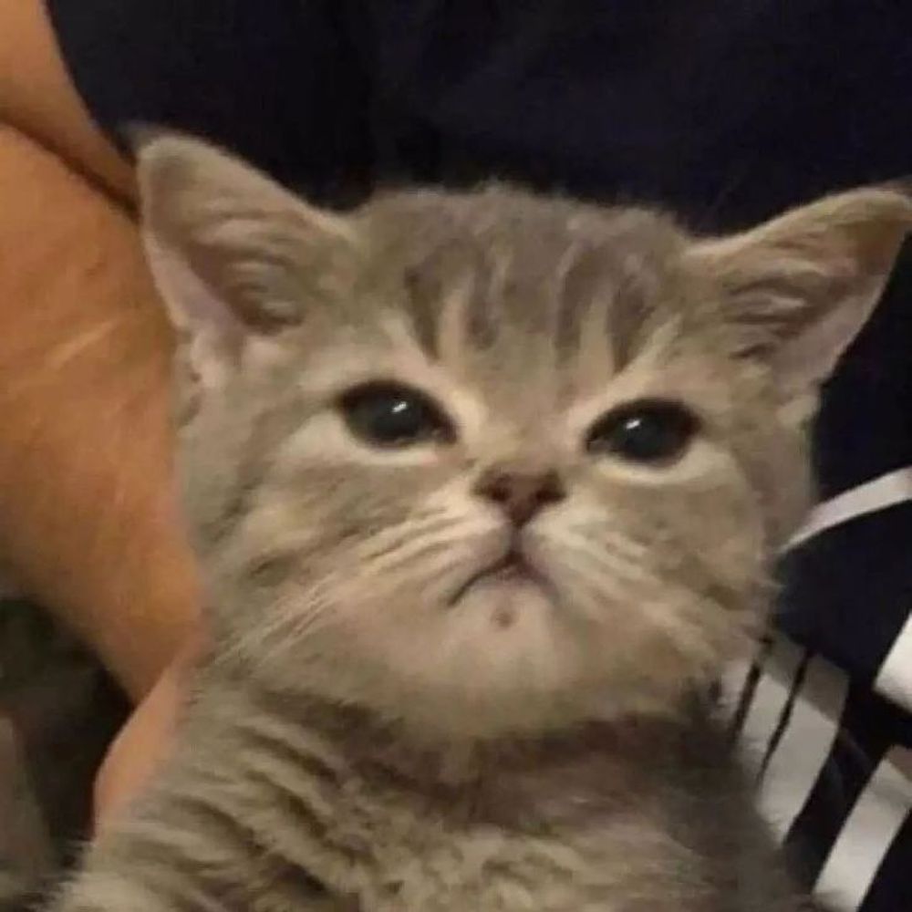 Mad