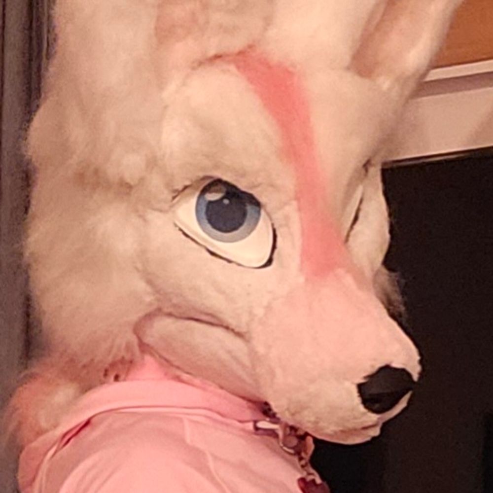CodyPup🔜CFZ