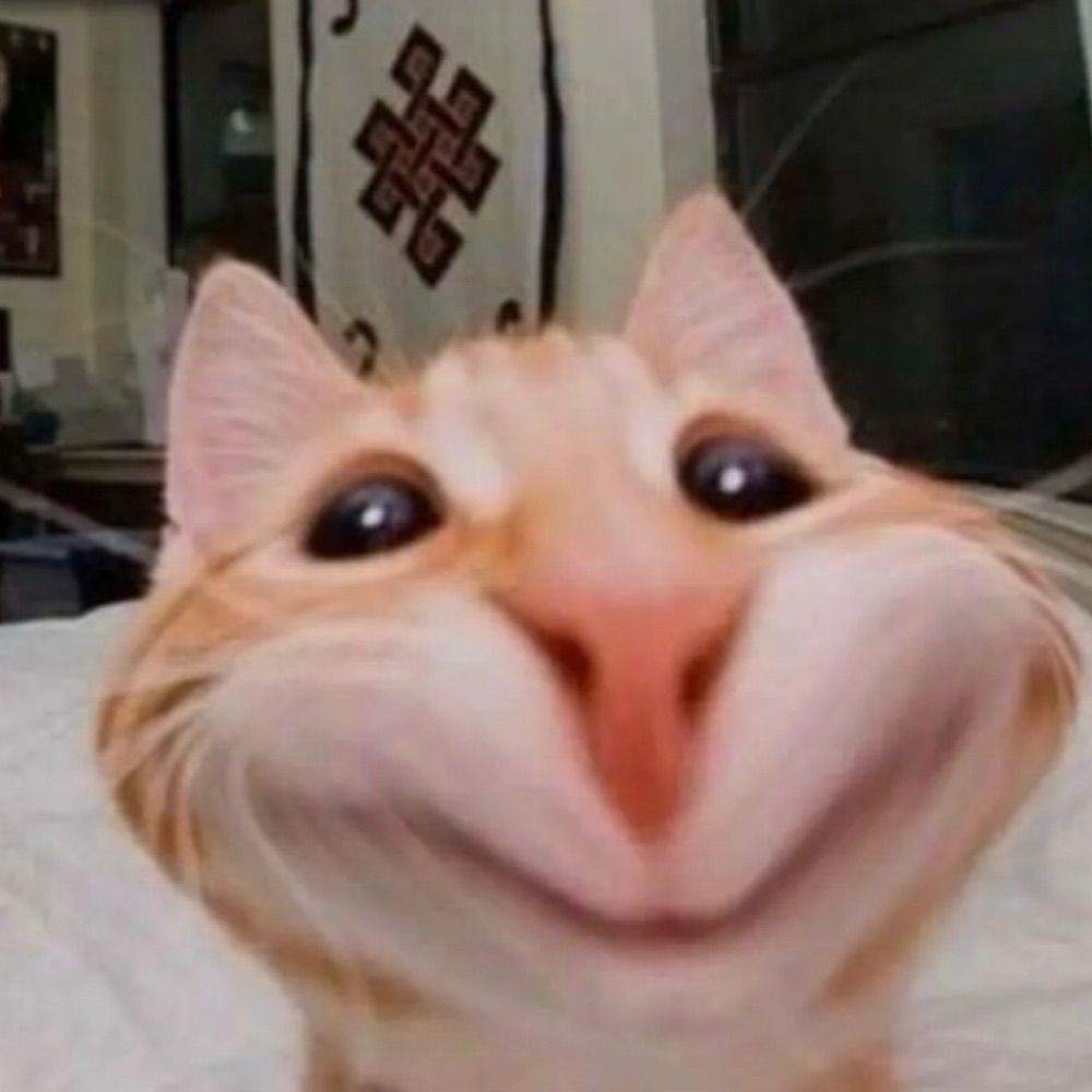 Sté