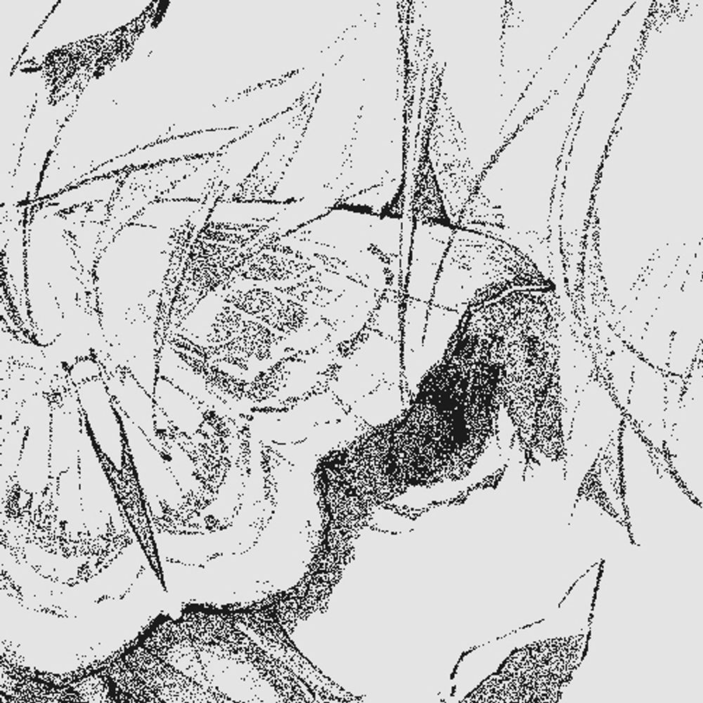 ⠀