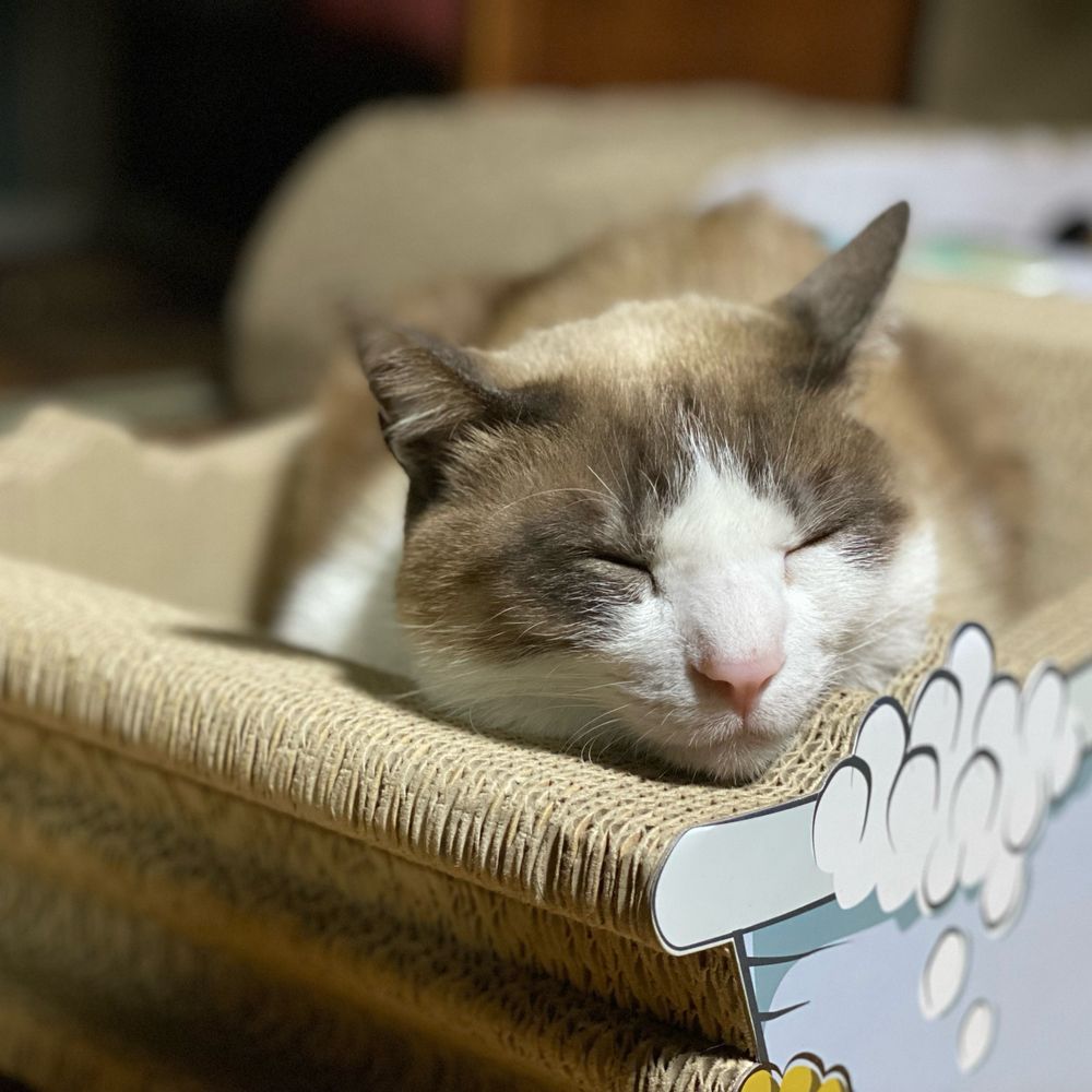ウアウア