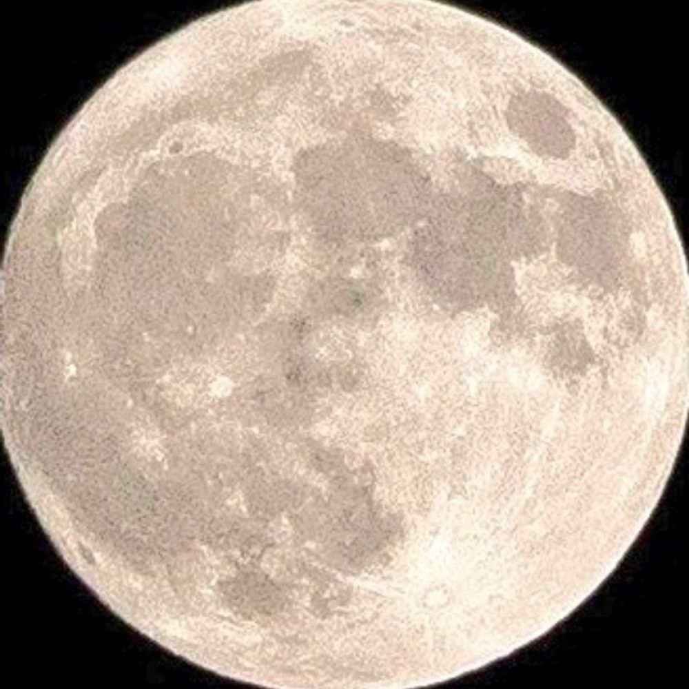  Moonlight 