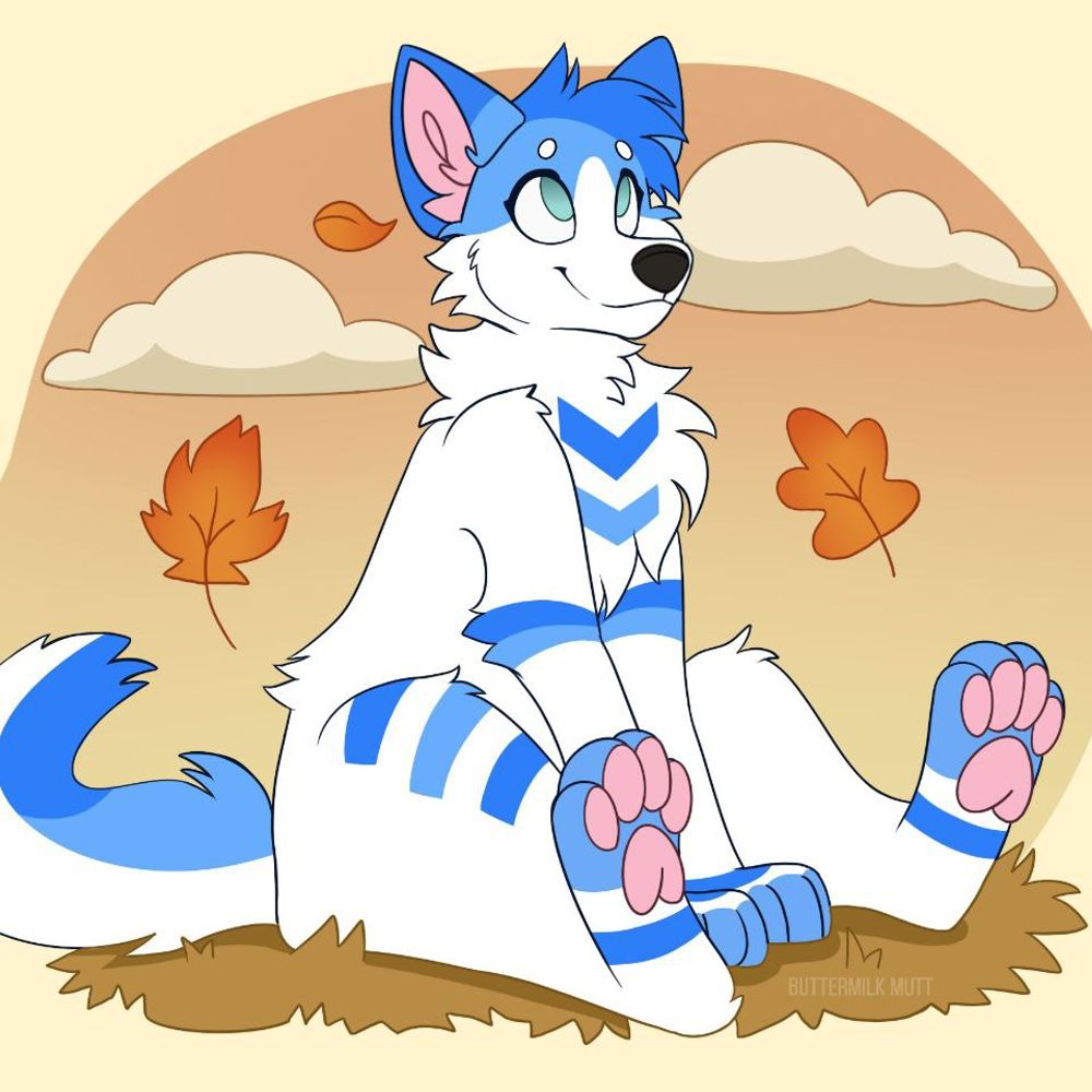 Luna Husky ✈️🐾
