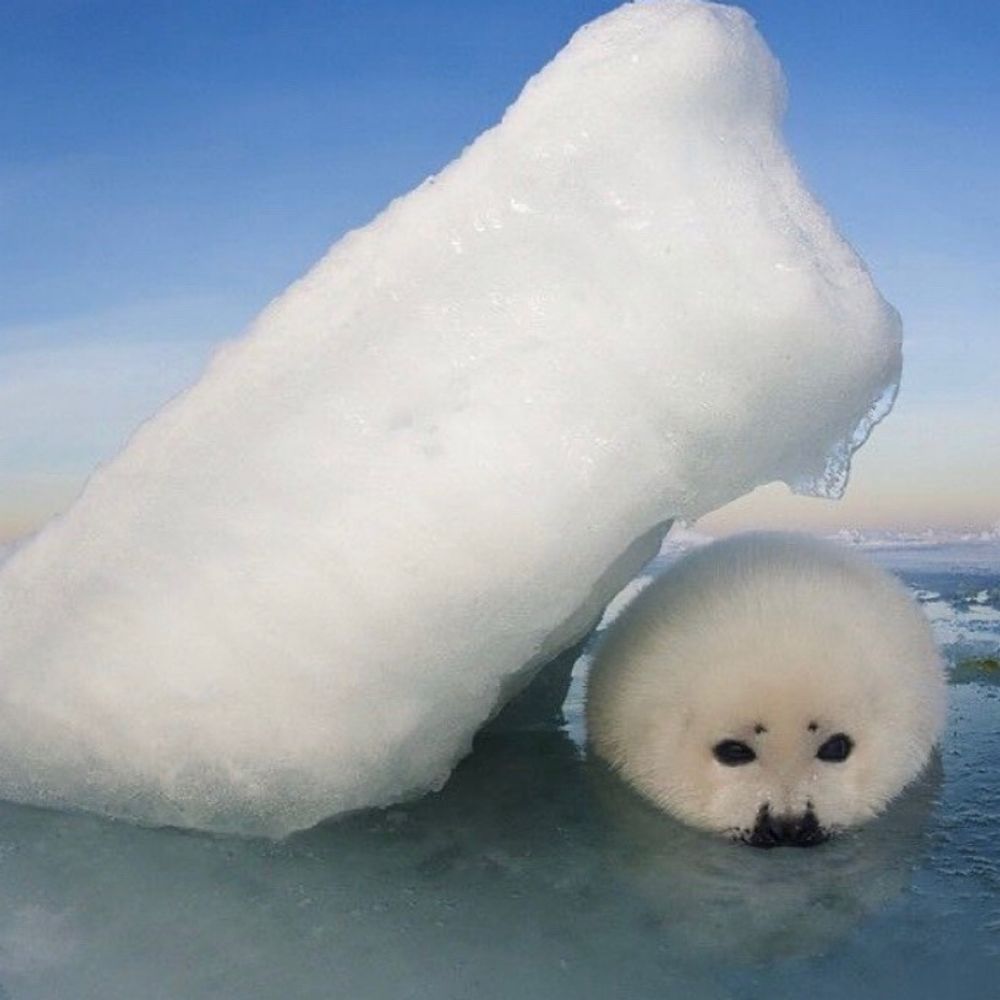 sealed
