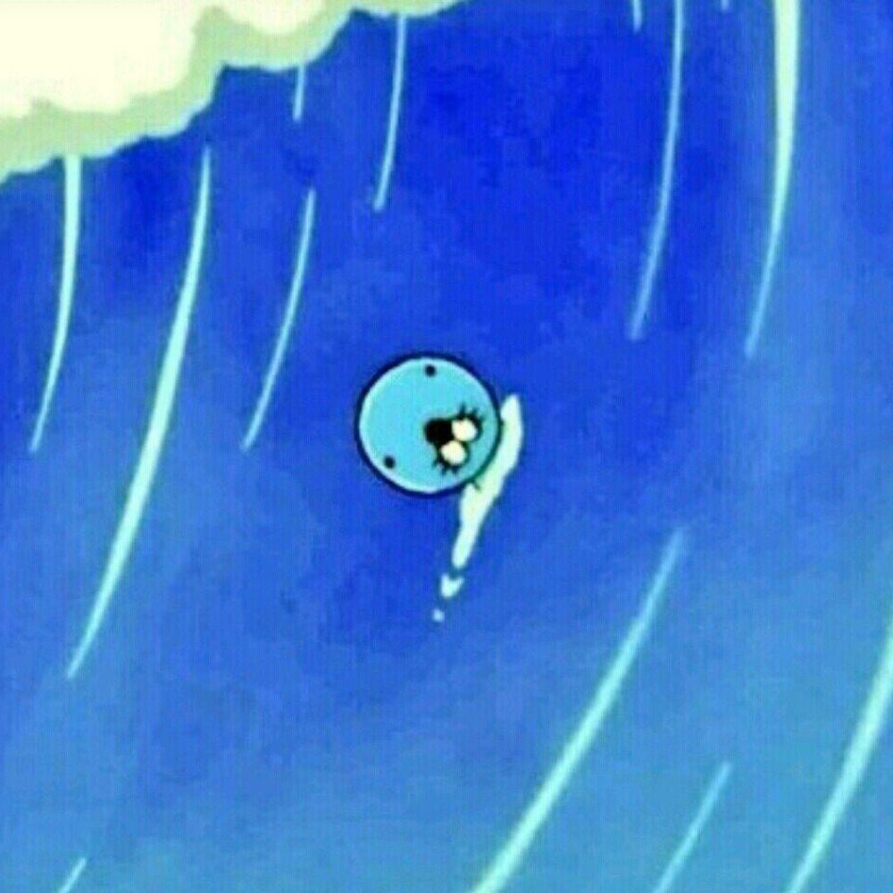 마리모☁️라딤