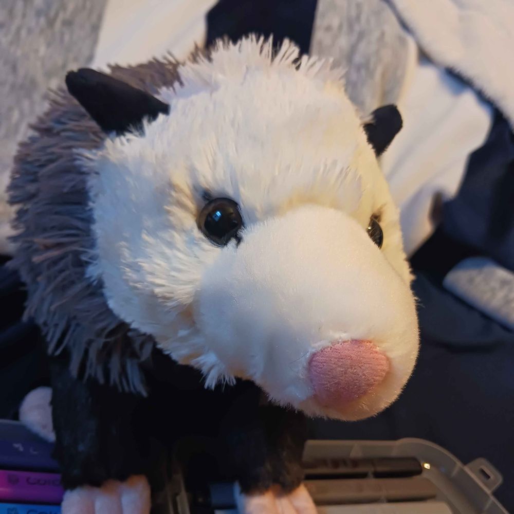 Rat The Plushie