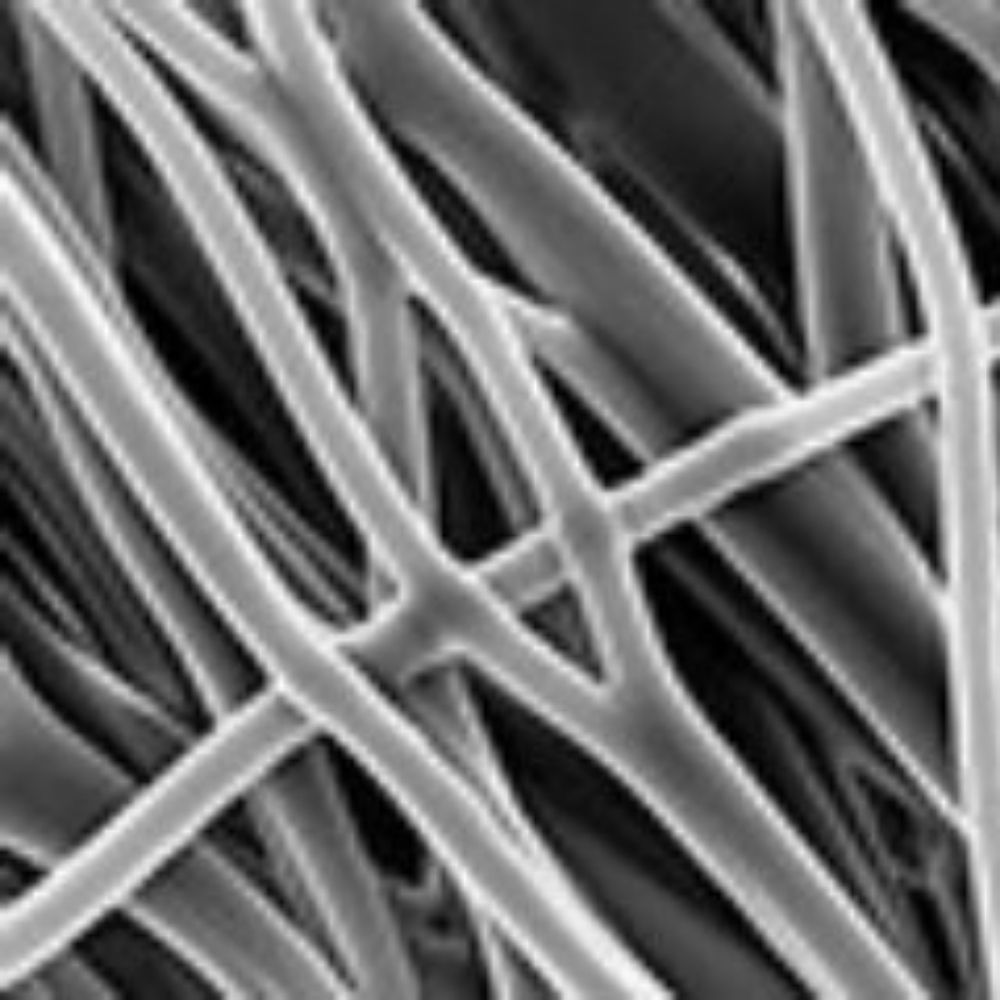Mechanobiology @ UCT