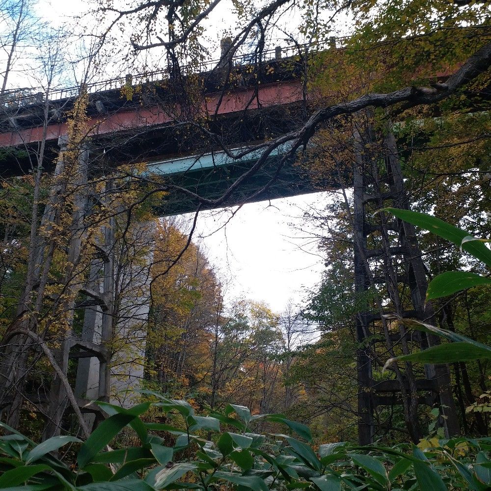 井手口＠11/23文学フリマ東京41 J-21