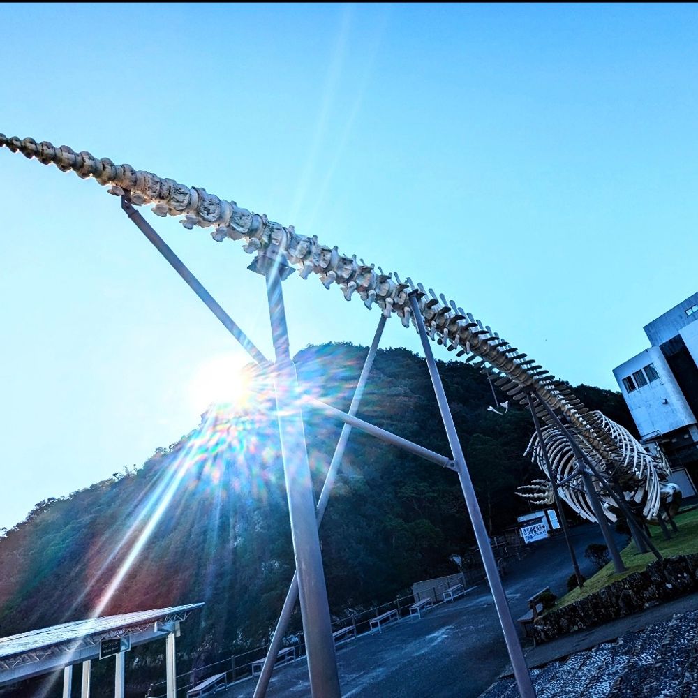 マント比