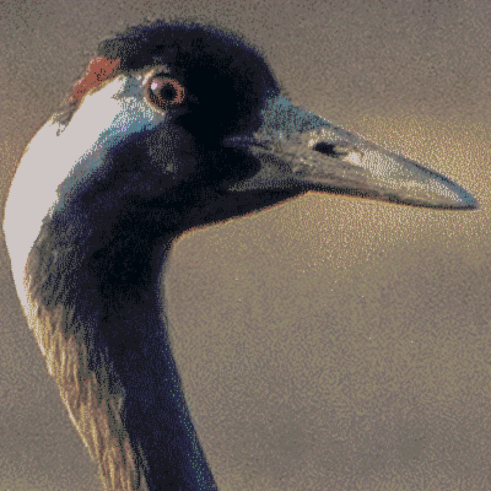 crane