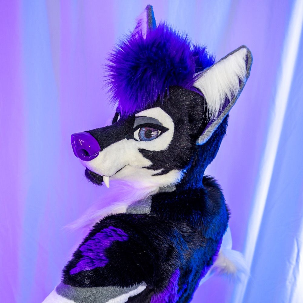 Tempest Wolf