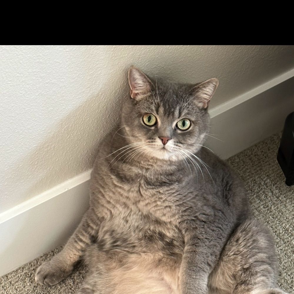 Joshua
