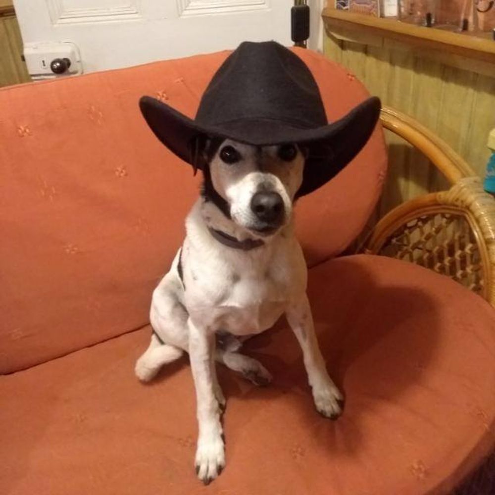 Marten de la Void