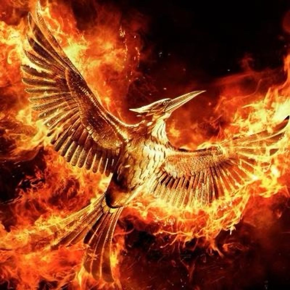 Dark Phoenix✵🐦‍🔥🌋