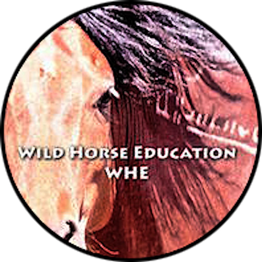 Wild Horse Education