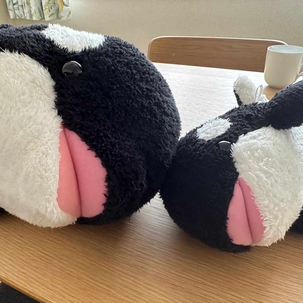 えぽん
