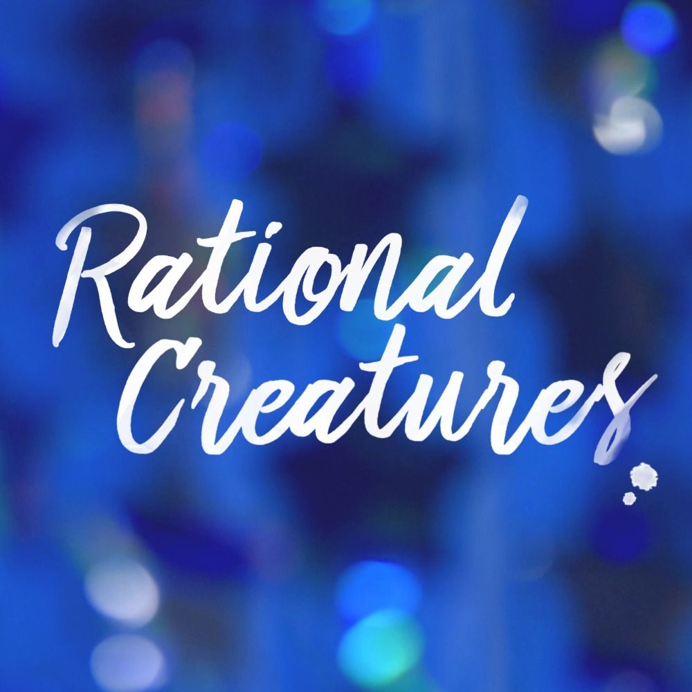 Rational Creatures - a modern persuasion show
