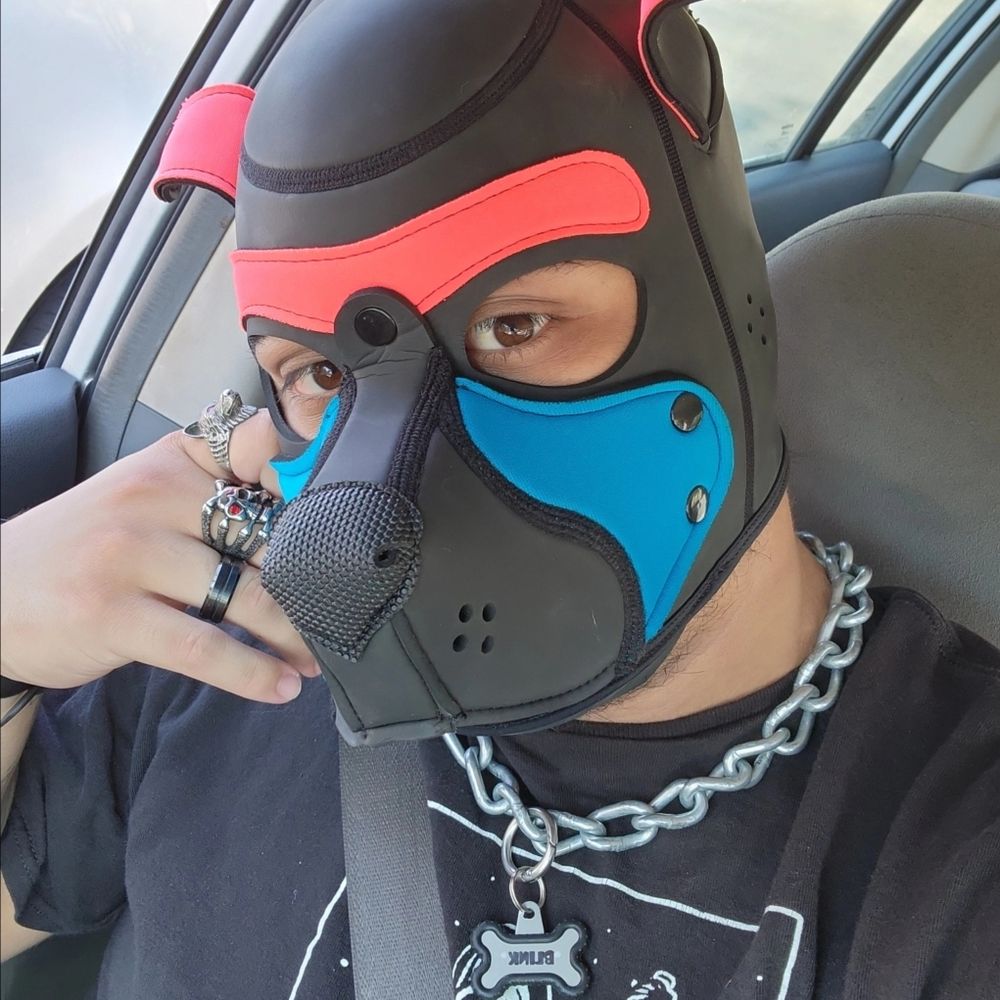 Pup_Blink