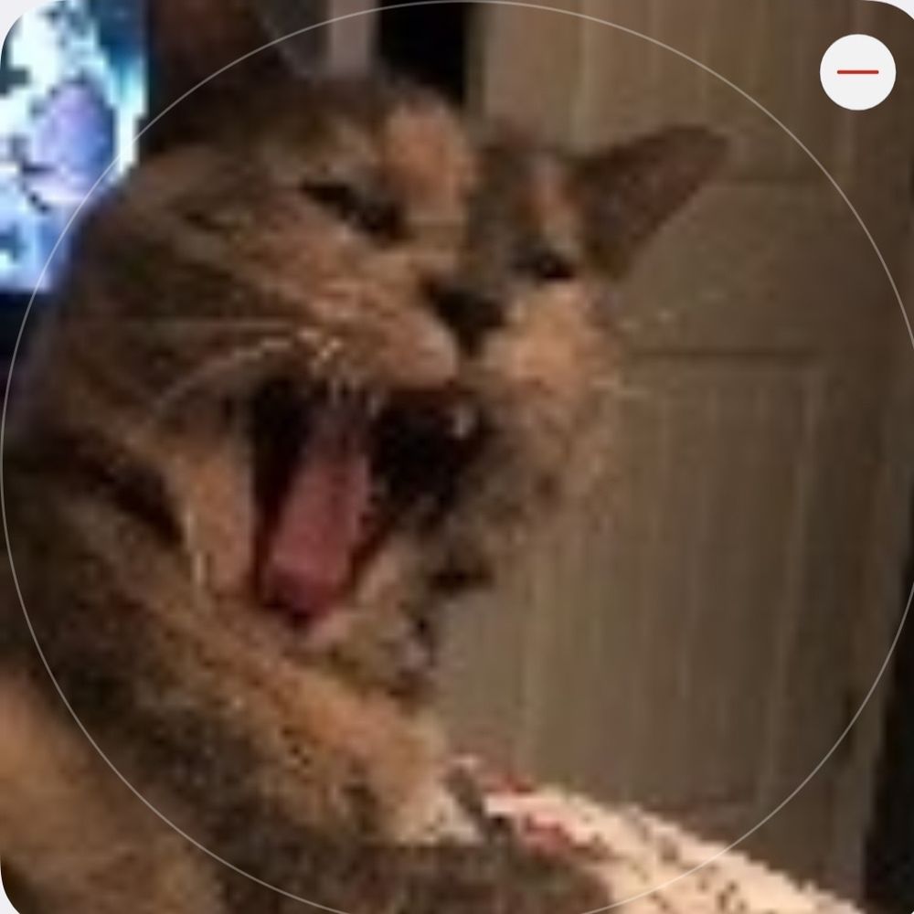 ʎƃɹǝuɥɥɥɥǝ ɟo llnℲ -_-