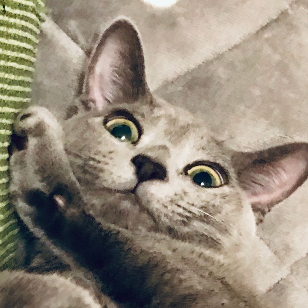 吾妻くるる