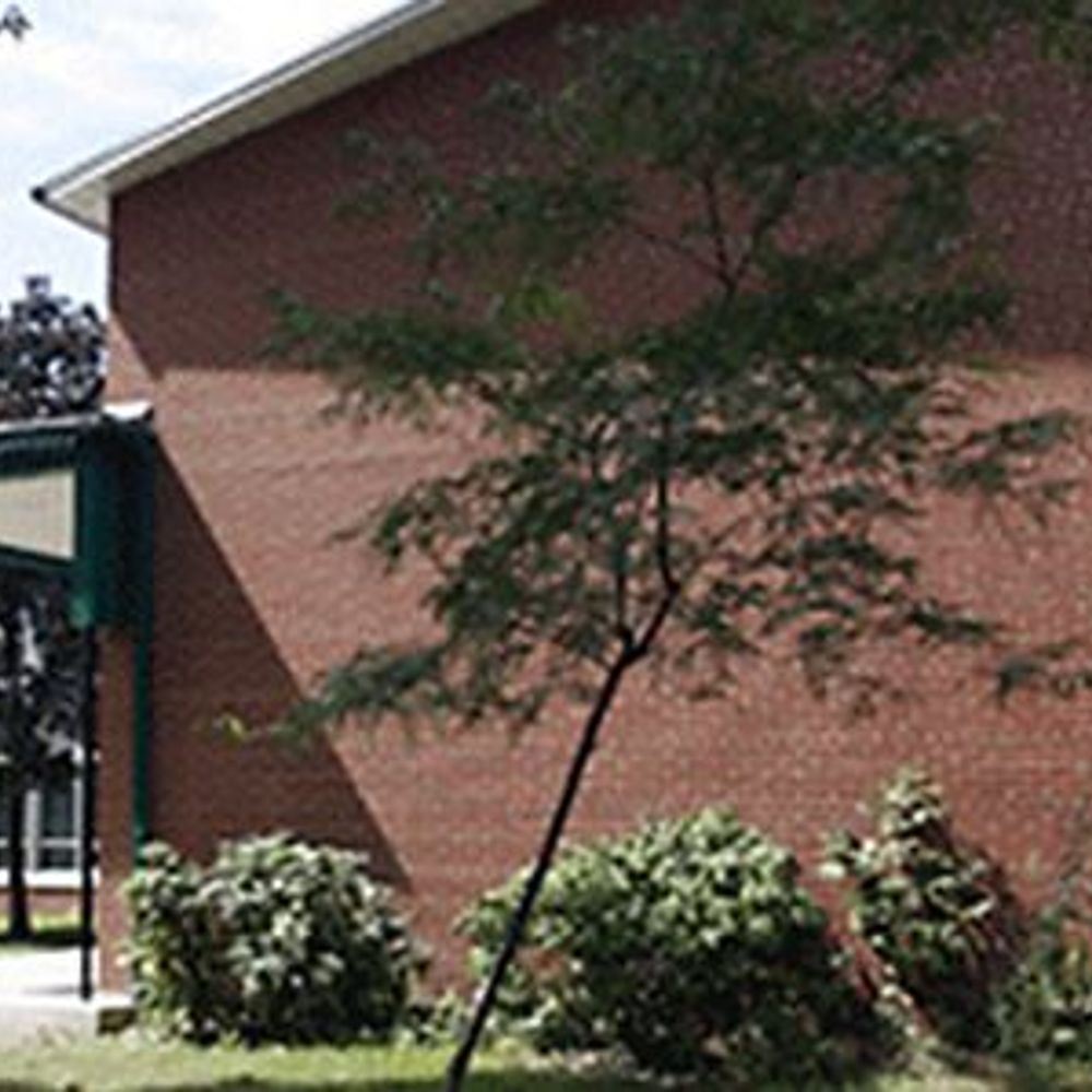 Courcelette Public School TDSB