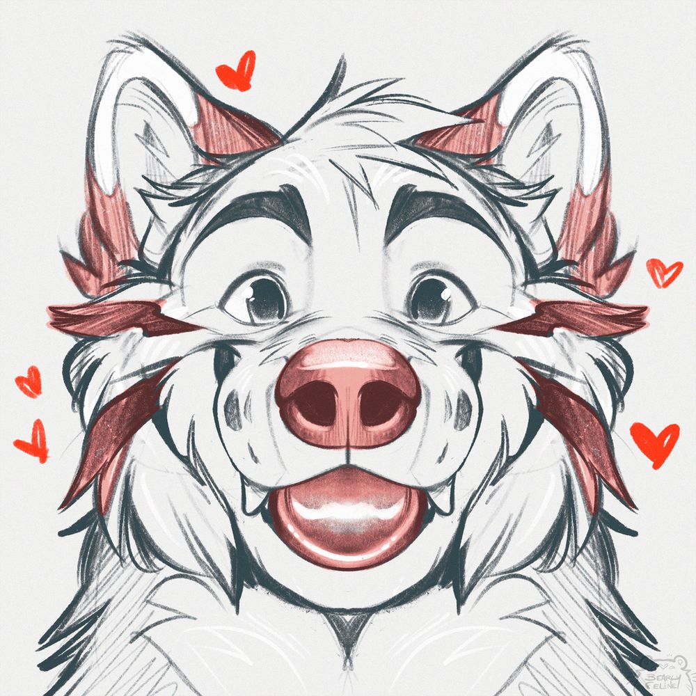 Arco Wolf