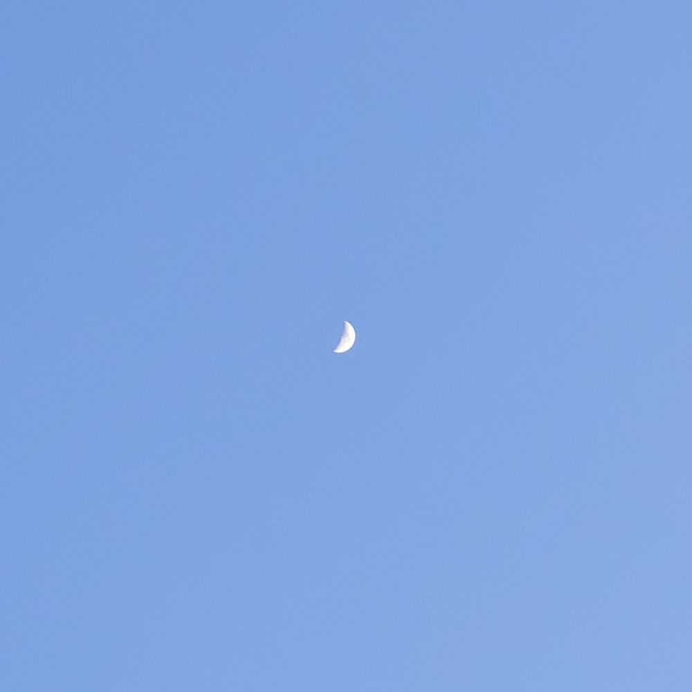 김샐야