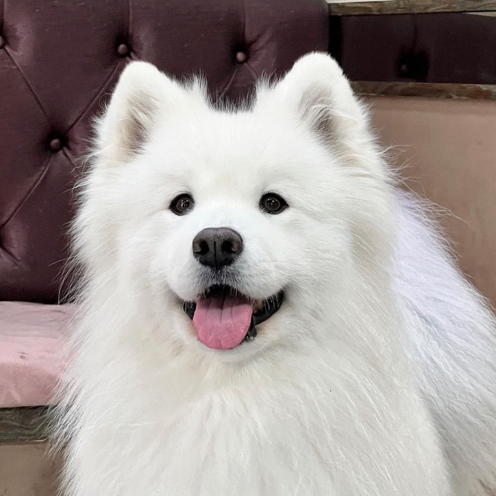 Luxky