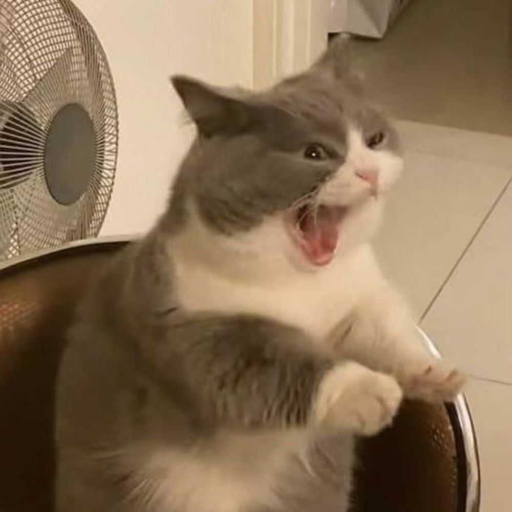 loba de gênero discutível 🍉
