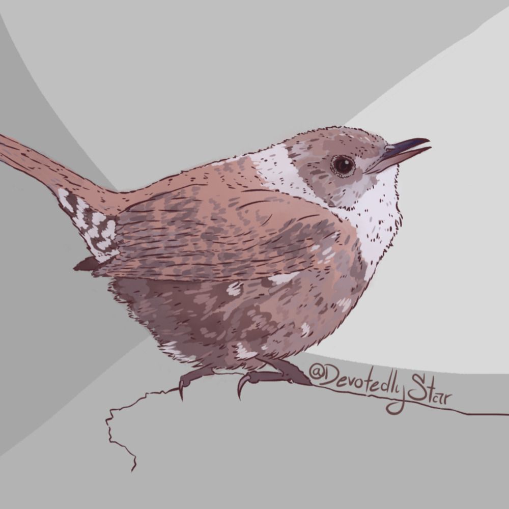Wren (Wrenothy)(Wrenevieve)(Wrenaissance)
