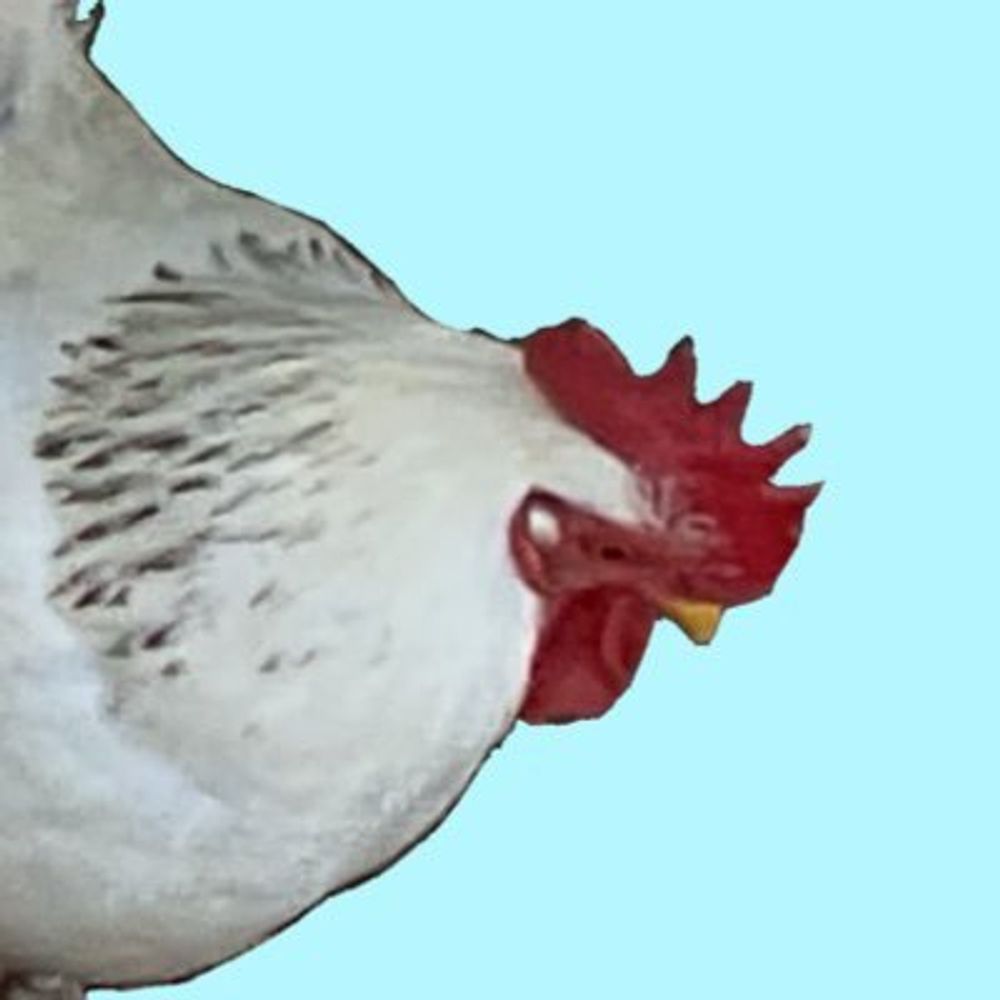 いちけーわい