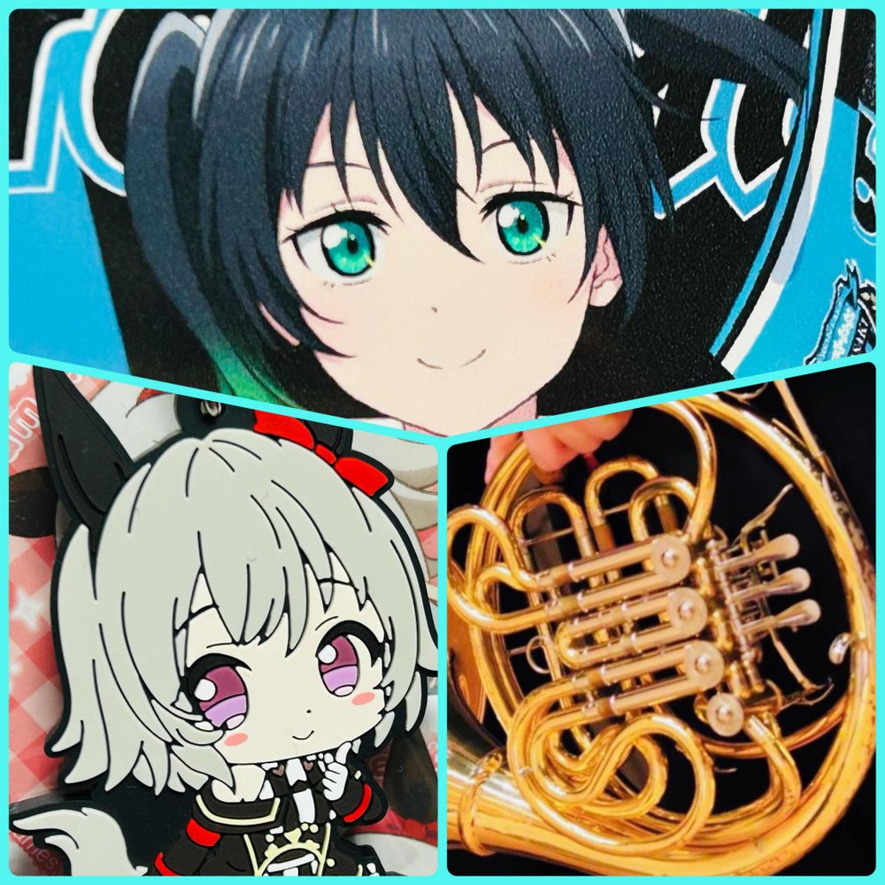 ぱっさん🐬