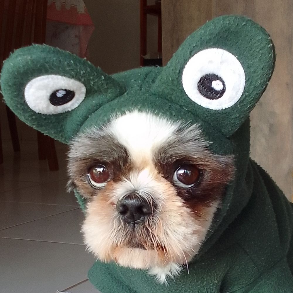 Eu naao faço nada... ah!