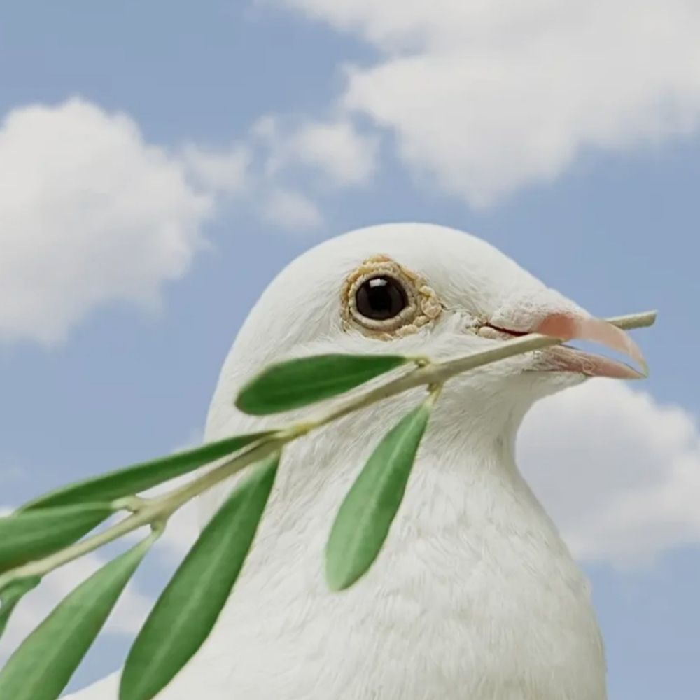 Dayı