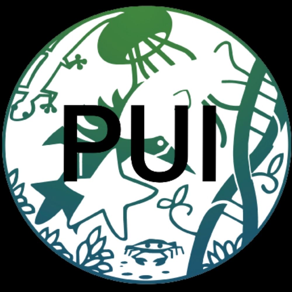 SICB PUI
