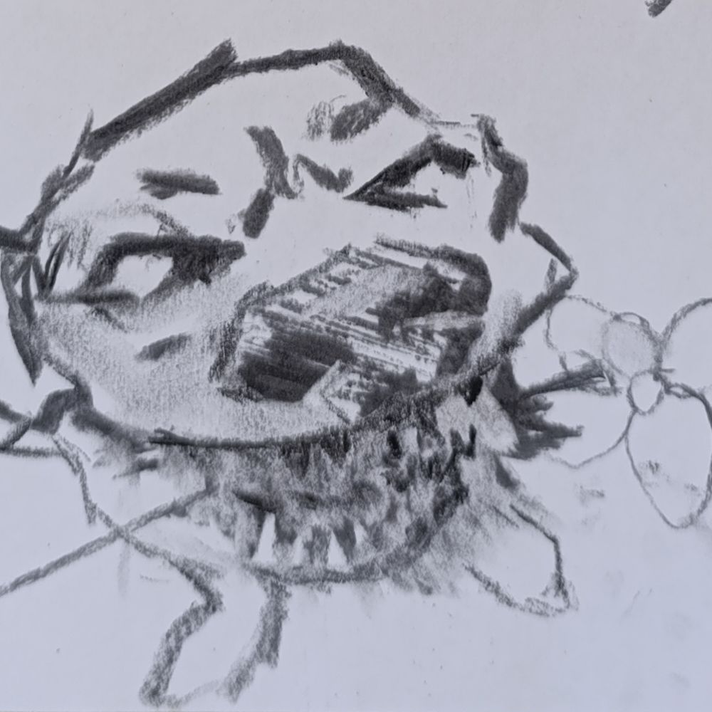 snjos