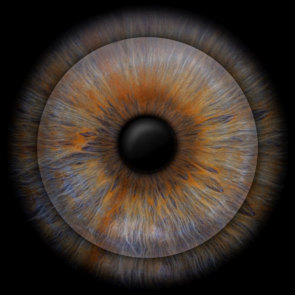 blueinfj