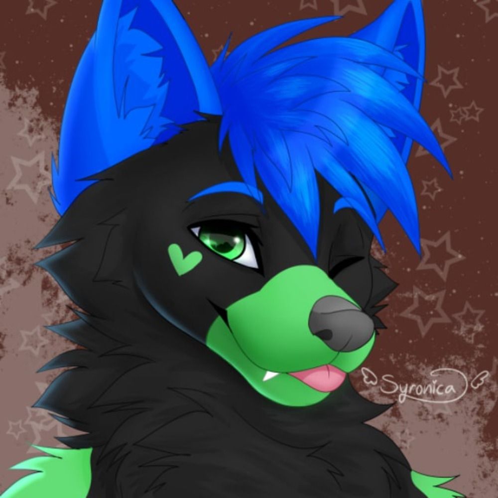 Shadow the Husky