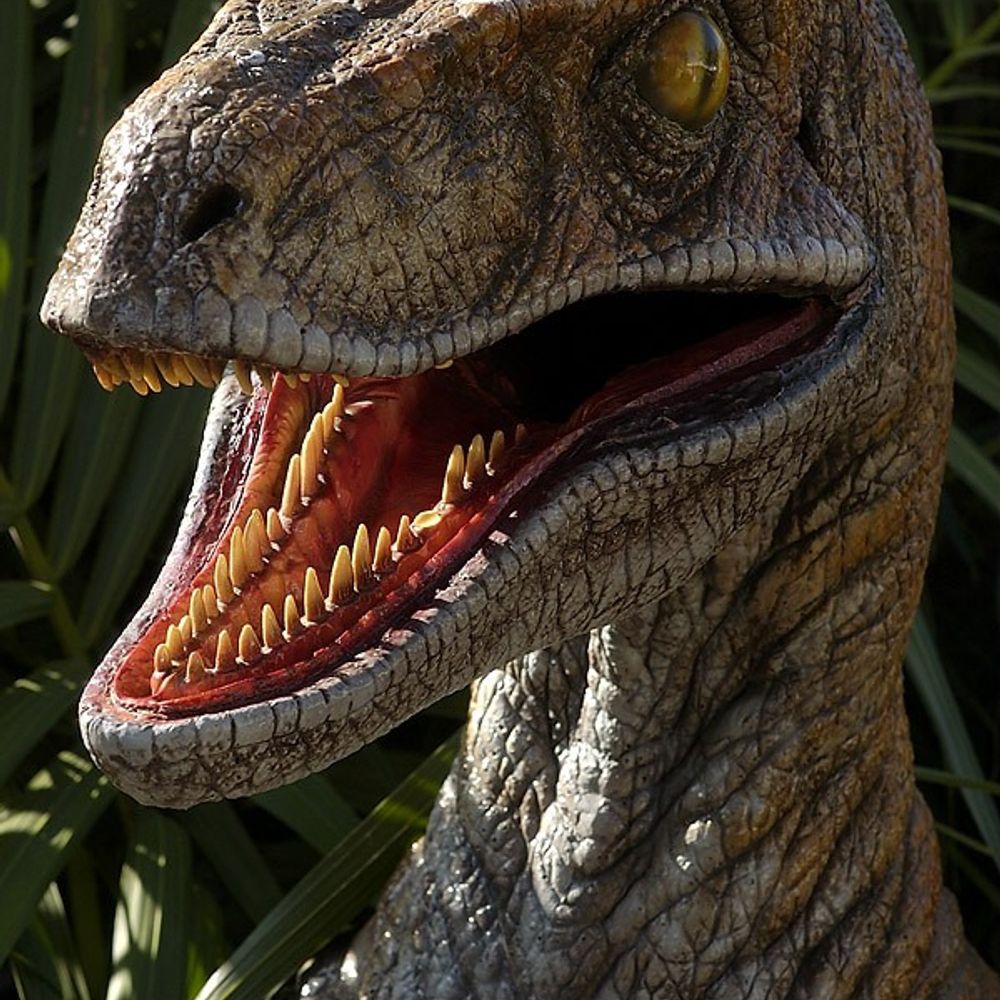 Autistic velociraptor's avatar
