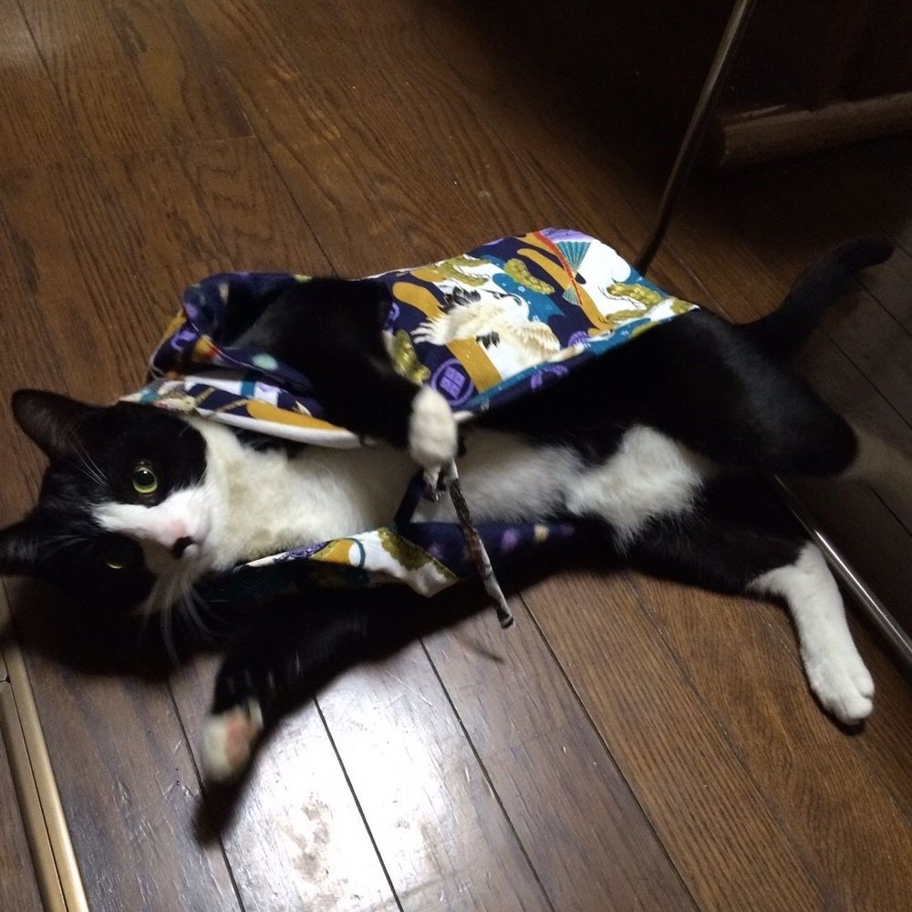 さとみ