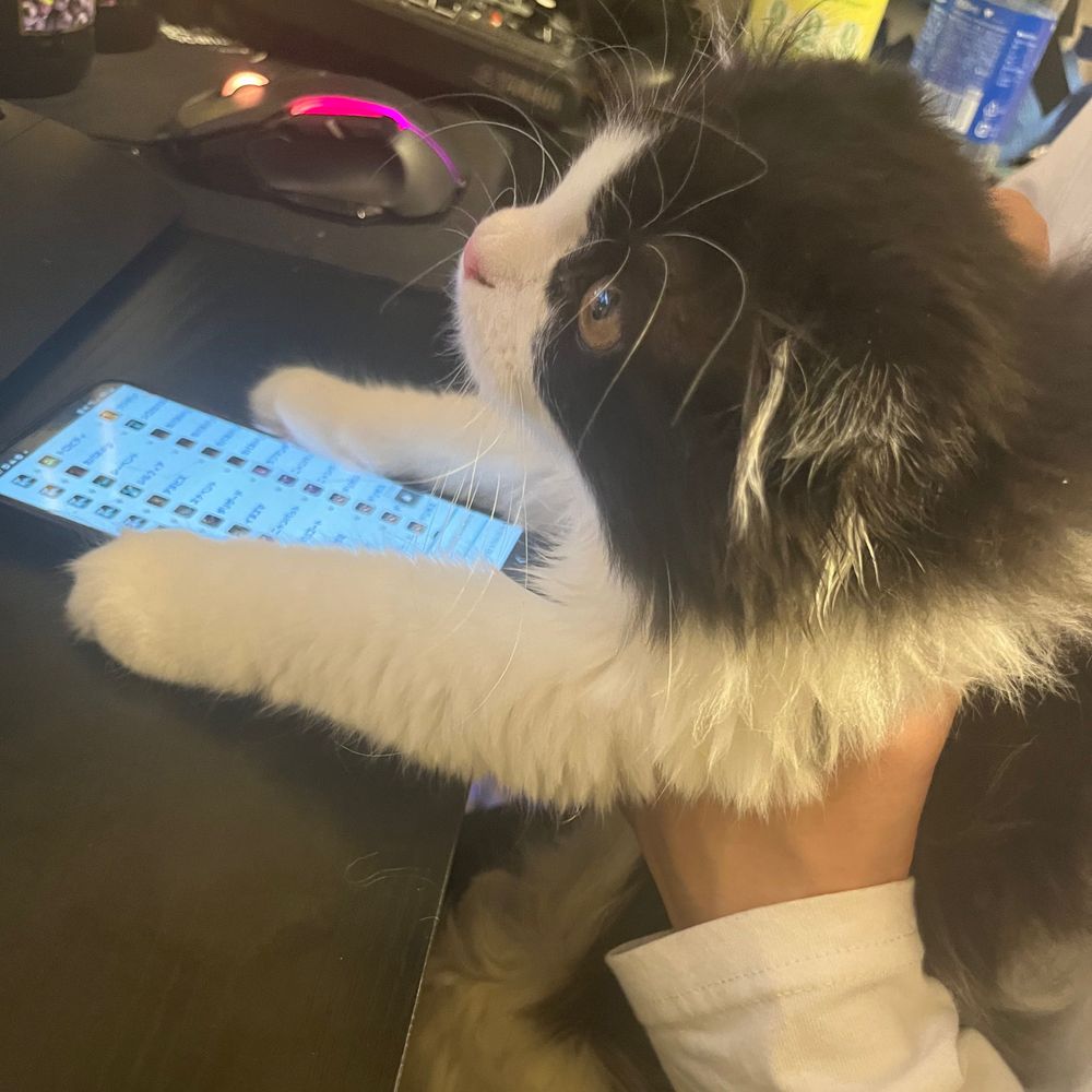 ｶｽﾐｿ