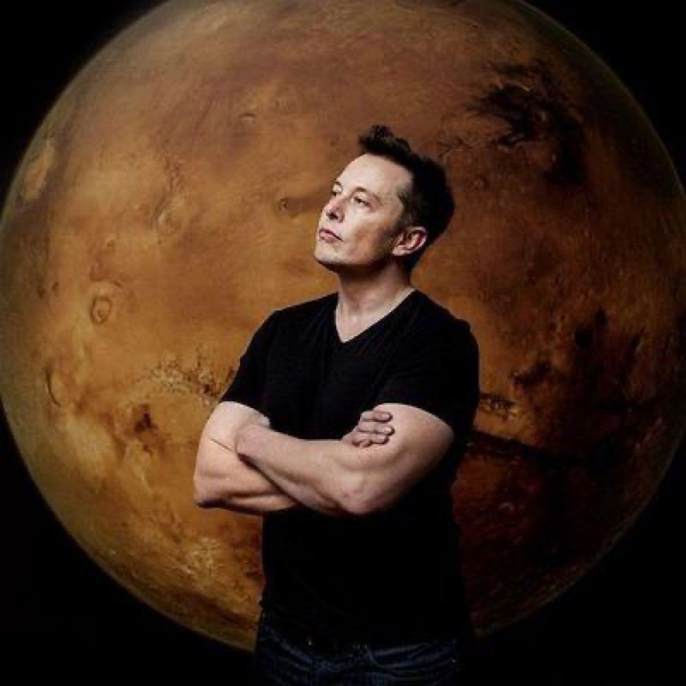 Profile picture elon0ceotesla.bsky.social