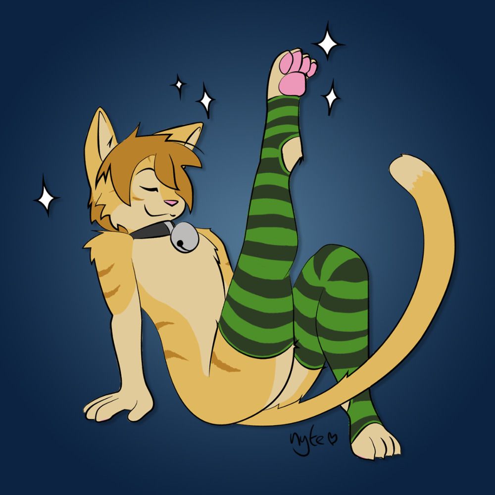 Nytecat