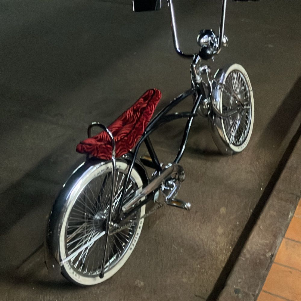 🚲