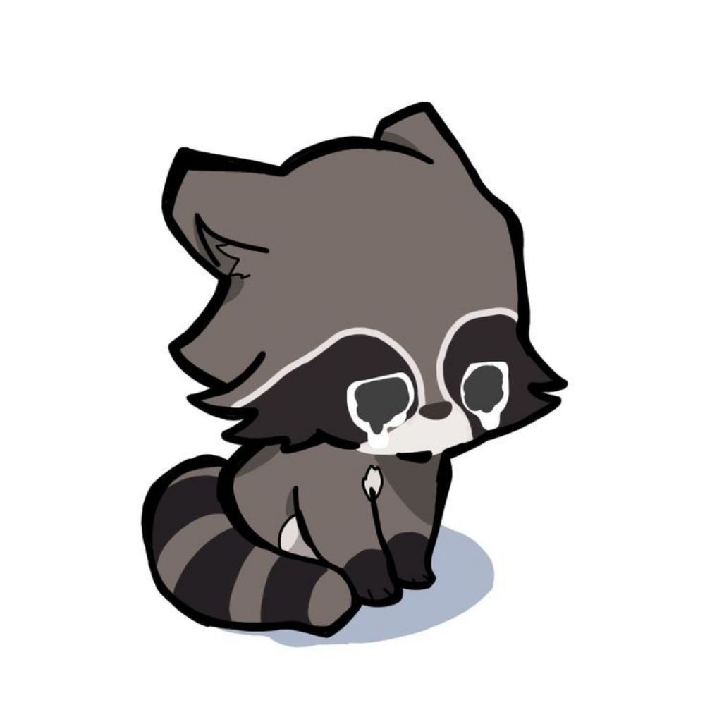 🦝MAPACHITO🦝