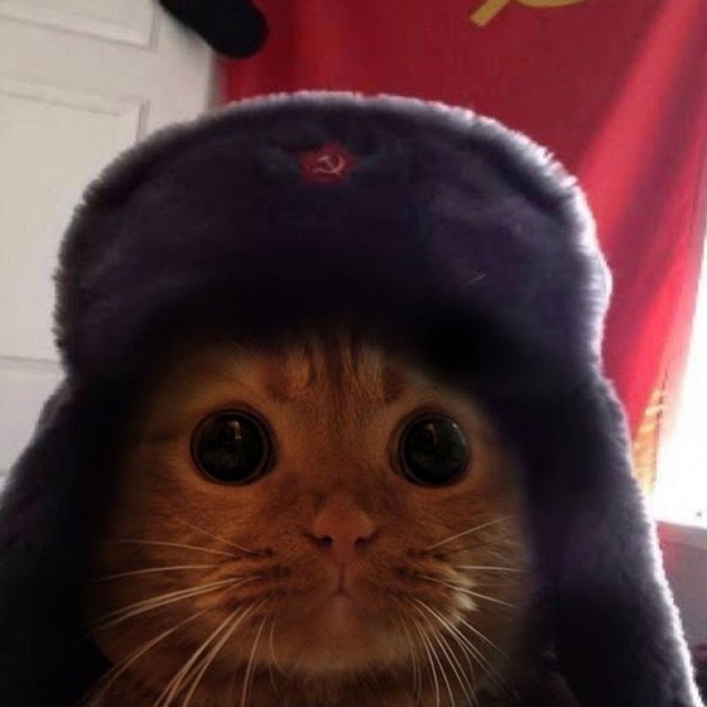 Caz_prower =^•^=