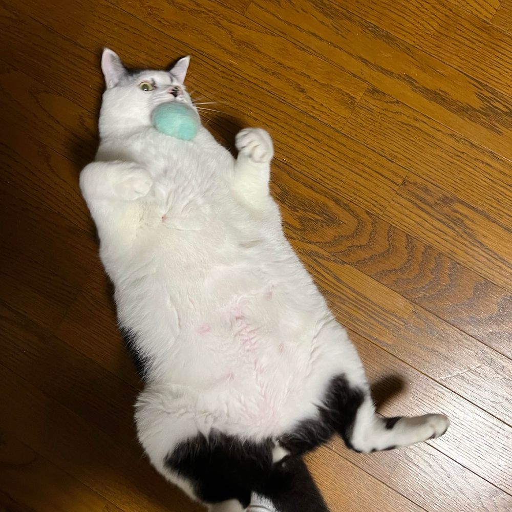 牛柄亭