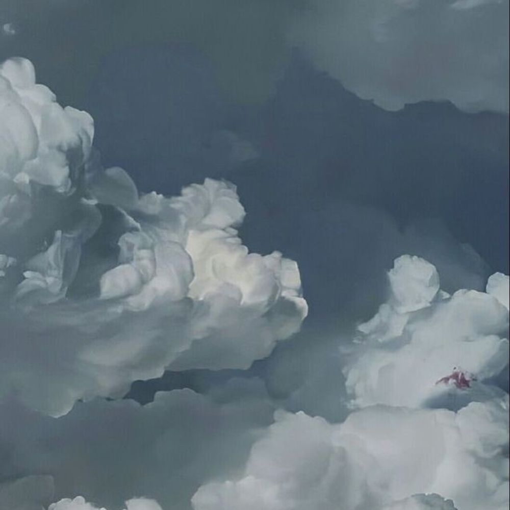 럄
