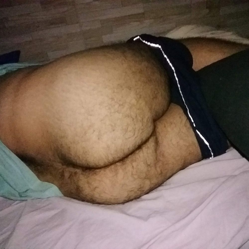 🐻🐼🐨🐻‍❄️
