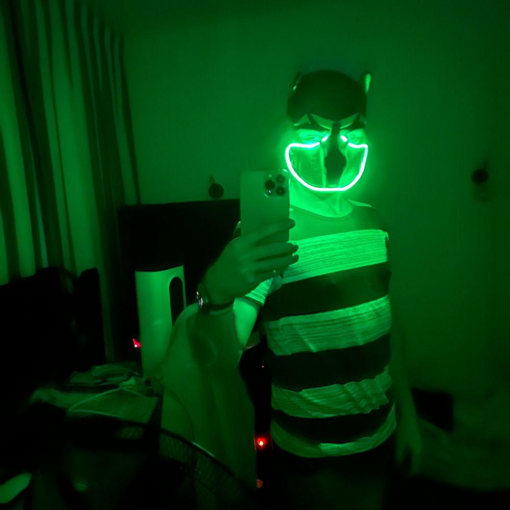 Máximo The LED Pup